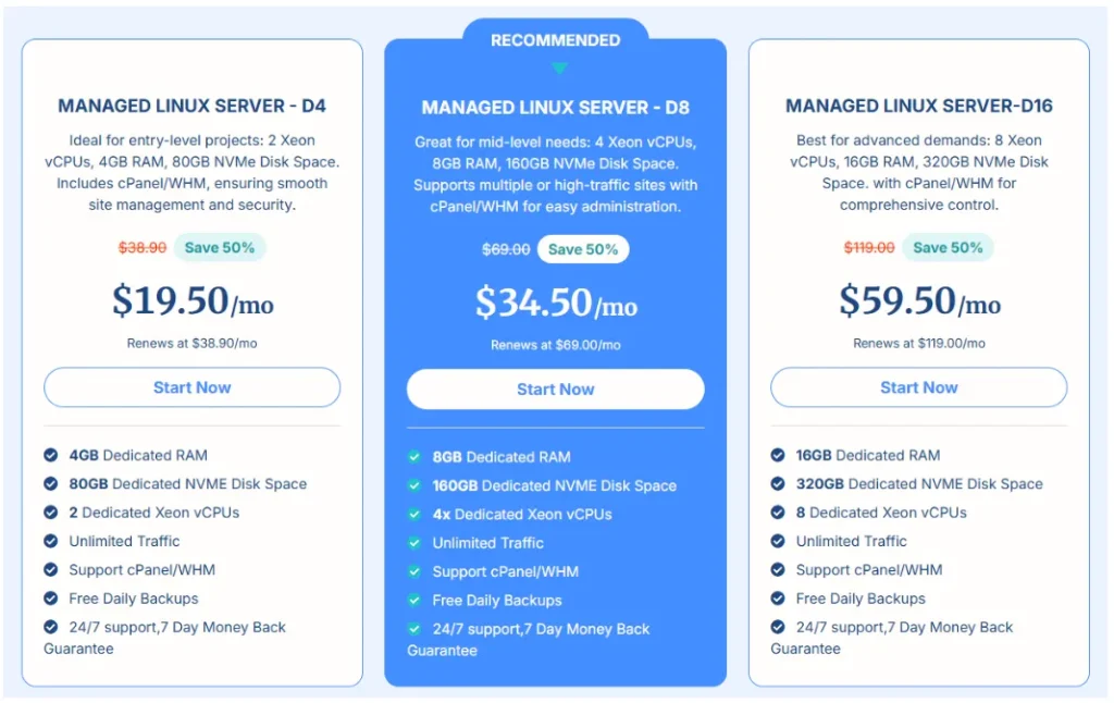 Verpex Hosting Review by LadyinTechverse