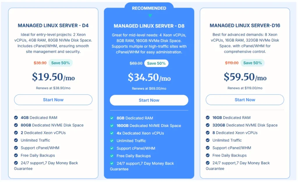 Verpex Hosting Review by LadyinTechverse