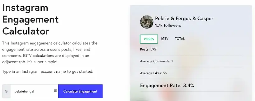 Pekriebengal Instagram - How Brands Build Human Trust in the Age of Agentic AI, Starting in 2026 - LadyinTechverse